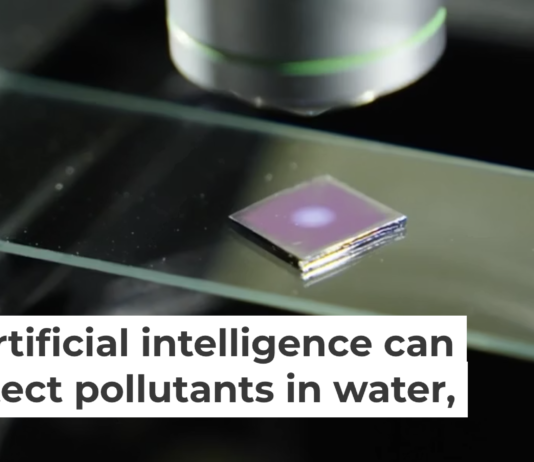 Nanoparticles on a glass slide amplify the sensitivity of a microscope to detect trace amounts of hazardous pollutants. Brandon Martin/Rice University